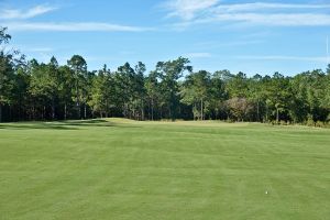 Tree Farm 8th Approach